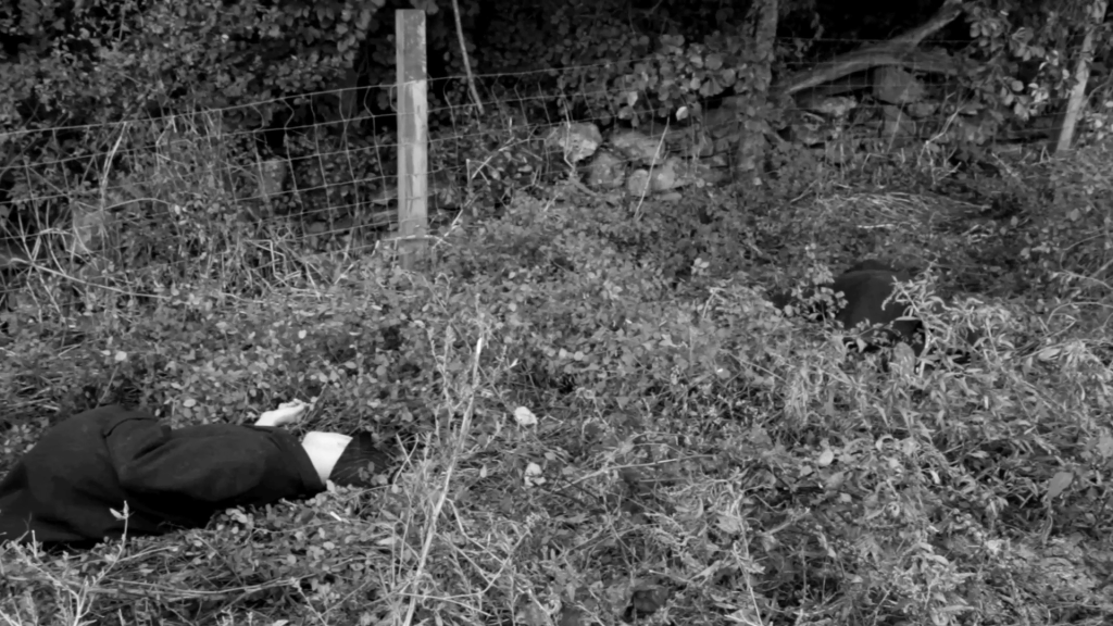 A murder is revealed when Henri has the FVMRI procedure.